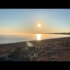 Meet your Posher, Bruce